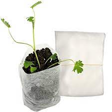 planting_seedlings_bags_in_kenya_allizz-packagings8