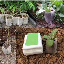 planting_seedlings_bags_in_kenya_allizz-packagings9